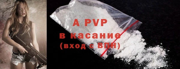 прущие грибы Каменка
