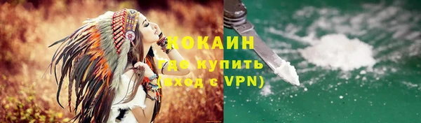 дживик Новозыбков