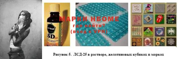 дживик Новозыбков