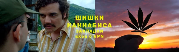 ПСИЛОЦИБИНОВЫЕ ГРИБЫ Новокубанск