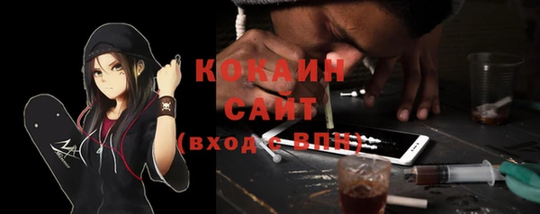 дживик Новозыбков