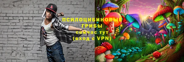 a pvp Новодвинск