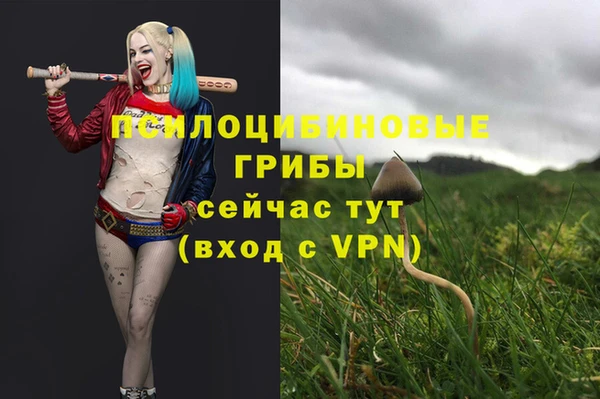стаф Нязепетровск