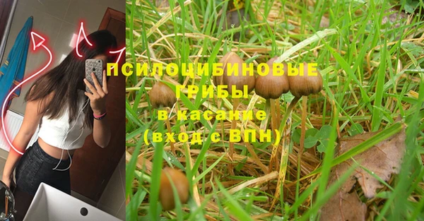 a pvp Новодвинск