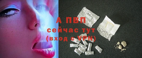 дживик Новозыбков