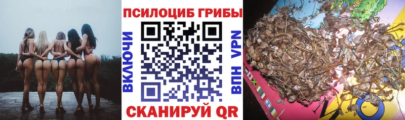 МЕГА ТОР  цены   Козьмодемьянск  Псилоцибиновые грибы MAGIC MUSHROOMS 
